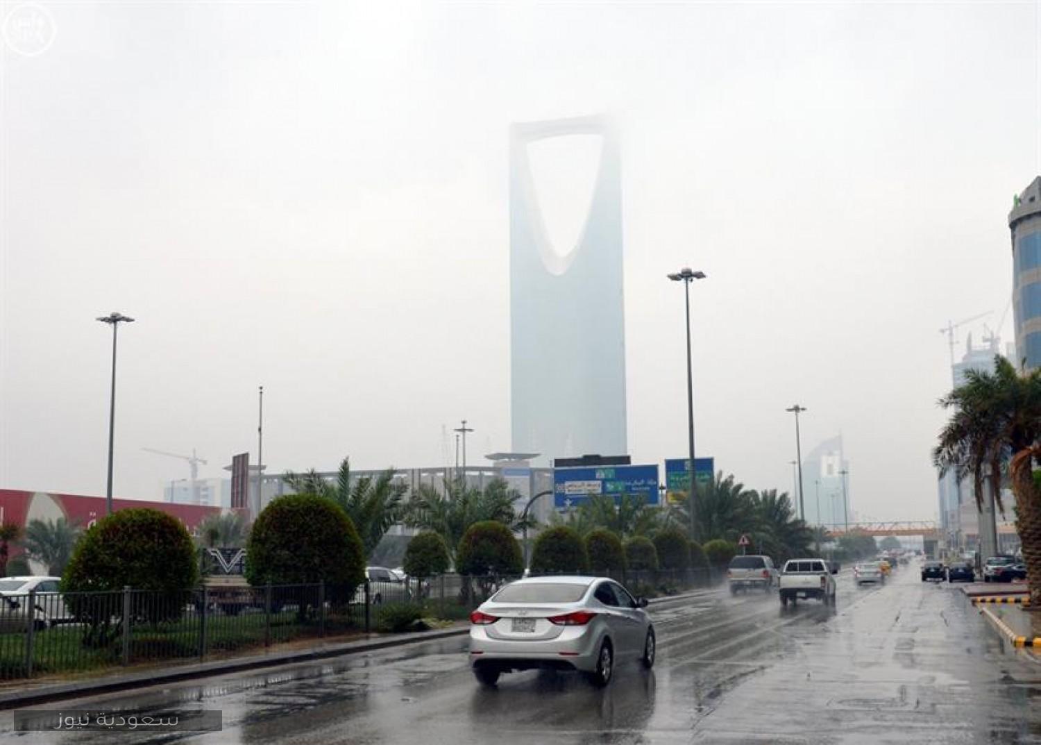 طقس خارج السيطرة.. رياح وغبار وأمطار لمدة 60 يومًا في السعودية (فيديو)