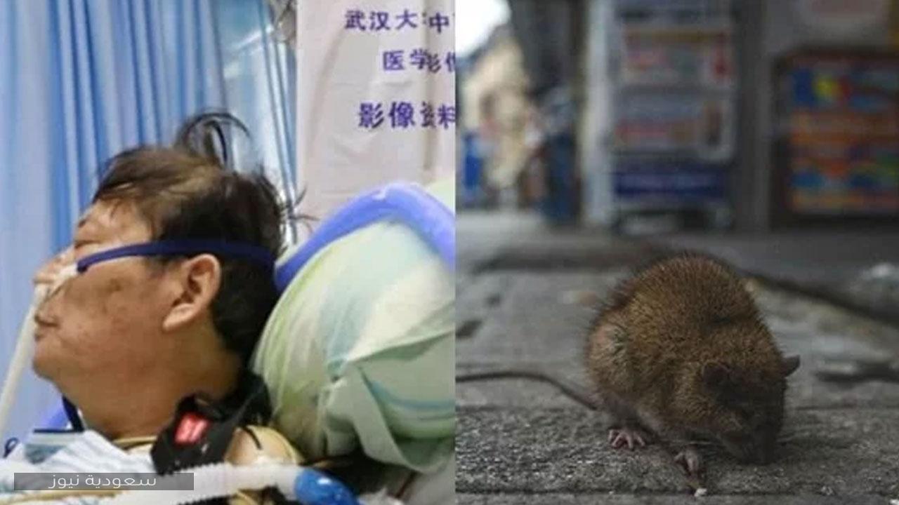 بعد تسجيل أول حالة وفاة في الصين.. تعرف على أعراض فيروس هانتا الصيني