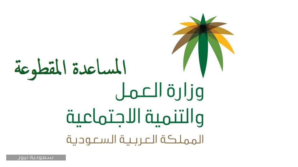 كيفية الاستعلام عن المساعدة المقطوعة 1441 للمستفيدين من مقطوعة الضمان الإجتماعي سعودية نيوز