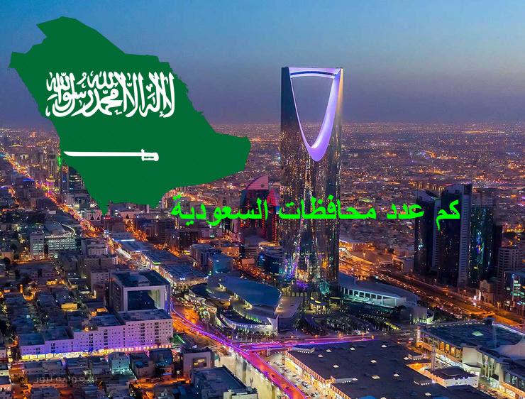 كم عدد محافظات السعودية .. أبرز التضاريس وأهم معالم المملكة السياحية