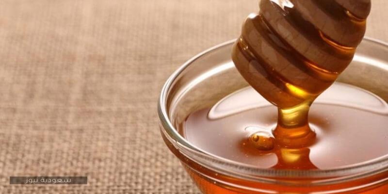 أهم وأفضل أنواع العسل في المملكة السعودية وفوائده