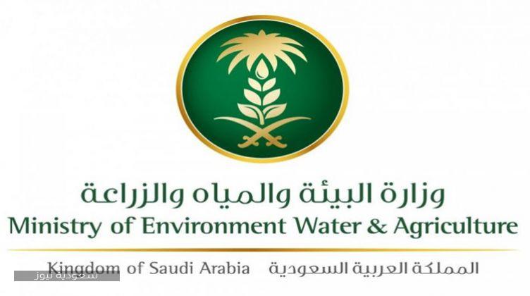 شروط التقديم على وظائف وزارة البيئة والمياه والزراعة السعودية