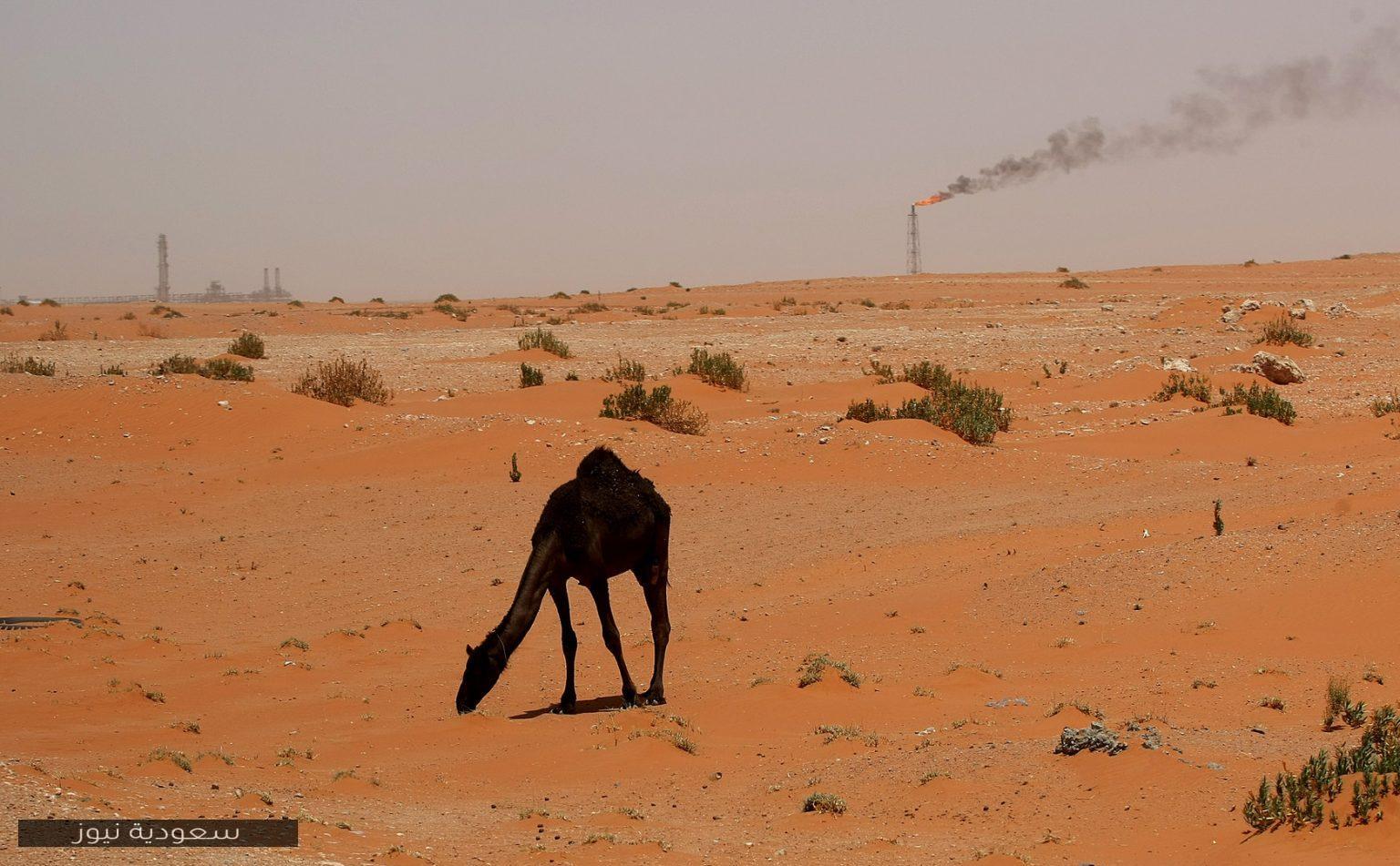 تردد قناة الصحراء التراثية 2021 وأهم ما تبثه من برامج