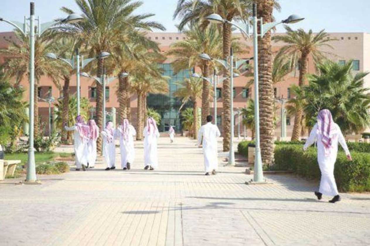 النظام الجديد pdf داخل الجامعات المملكة السعودية
