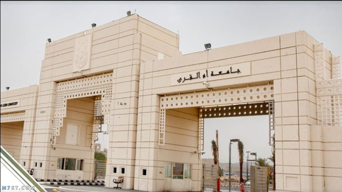 موعد التسجيل في الجامعات السعودية 1443 والشروط والأوراق المطلوبة