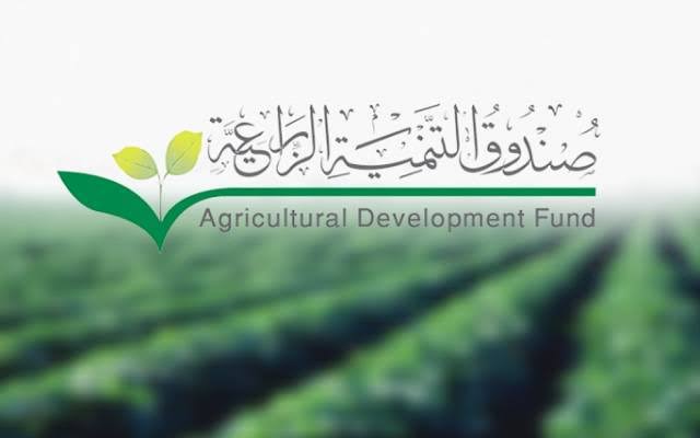 الشروط لصندوق التنمية الزراعية للحصول على القروض التشغيلية