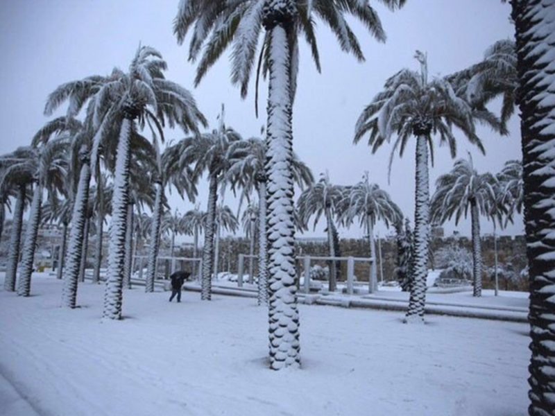 تساقط الثلوج والأمطار على عدة مناطق.. مركز الأرصاد يكشف حالة الطقس في المملكة اليوم