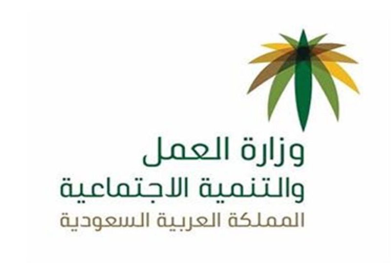 خطوات الاستعلام عن رخصة عمل برقم الاقامة والحدود وبرقم السداد 2022