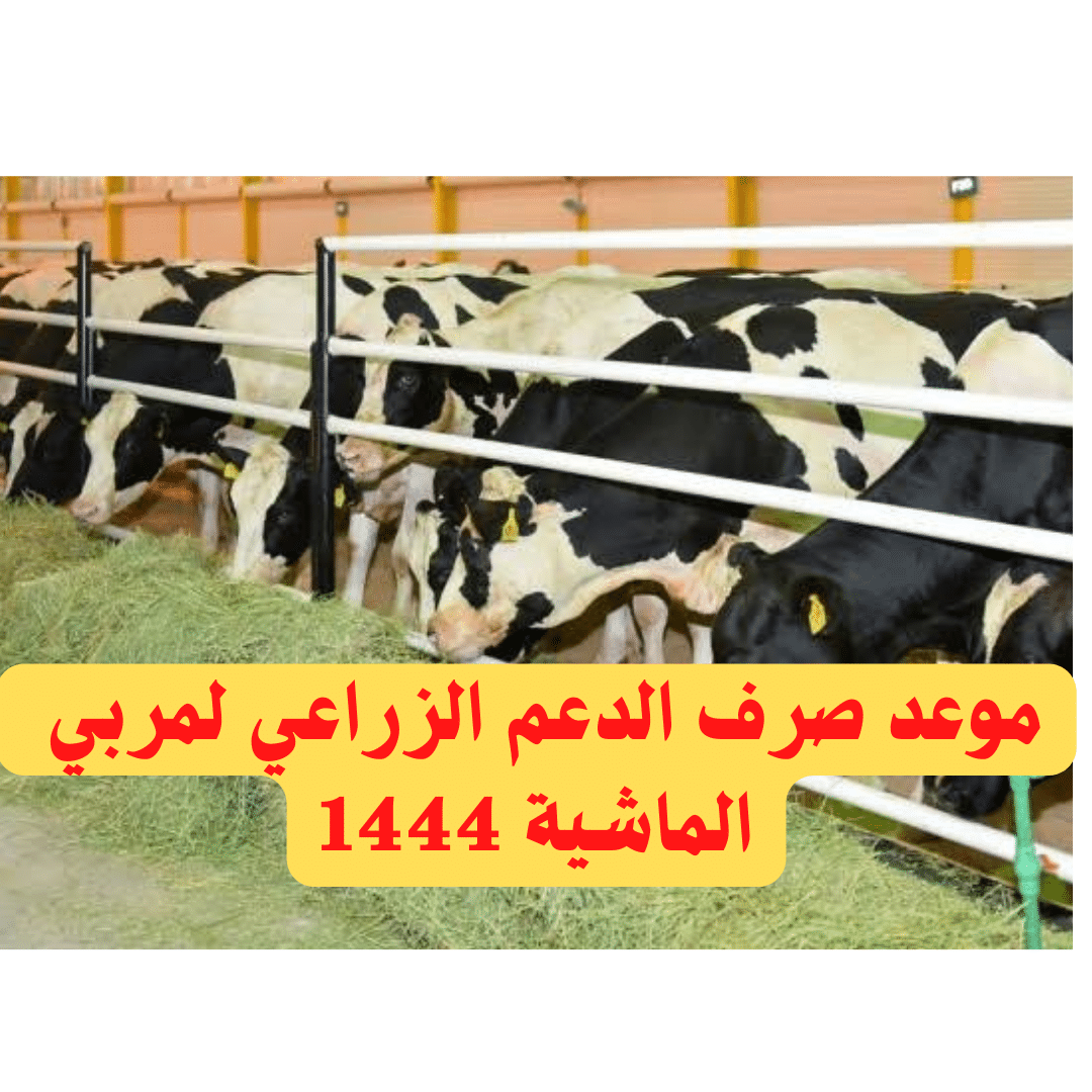 موعد صرف الدعم الزراعي لمربي الماشية 1444