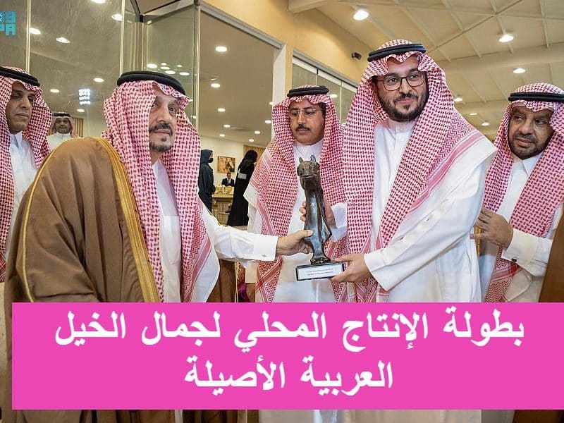 صاحب السمو الملكي أمير الرياض يرعى بطولة الإنتاج المحلي الـ 11 .. 380 رأس من الخيل العربية الأصيلة