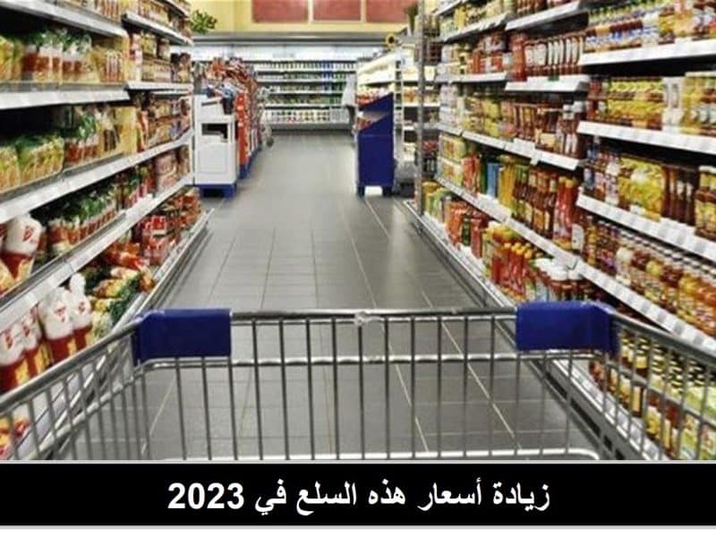توقعات صادمة من استشاري الأمن الغذائي بشأن زيادة أسعار اللحوم والبيض في 2023